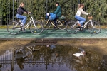 Carril bici