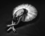 Dying swan-2